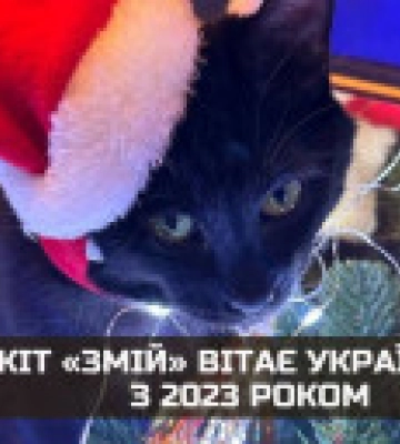 Разведчики обнародовали поздравление с Новым годом от кота &quot;Змея&quot; из Змеиного