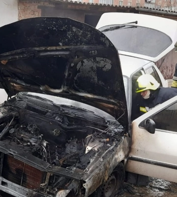 31 грудня рятувальники встигли зняти кошеня з дерева та загасити пожежі