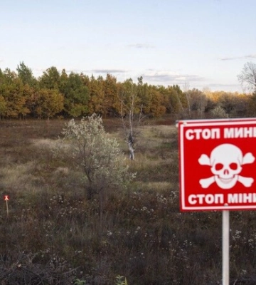 В 2022 году чаще всего пиротехники привлекались к разминированию в Харьковской области