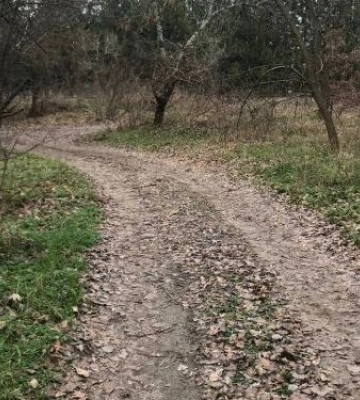 У Запорізькій області тепло ще трохи протримається