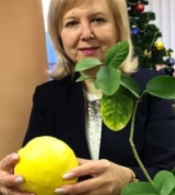 Волинські надзвичайники виростили лимона-велетня