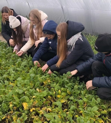 На Полтавщині молодь навчають тепличному бізнесу