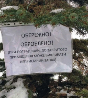 У Києві хвойні дерева почали обробляти репелентами