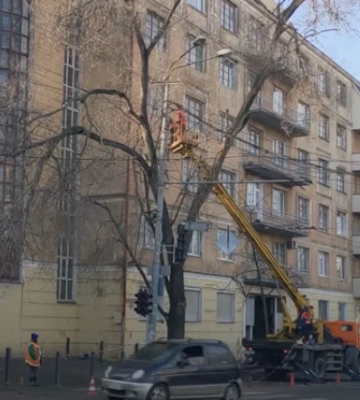 У Дніпрі прибрали аварійне дерево. Відео