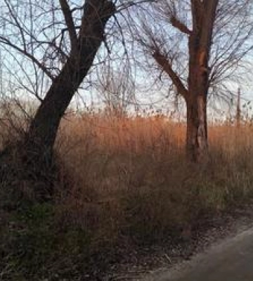 У центрі Миргорода знайшли тіло чоловіка