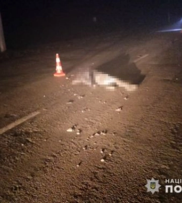 На трасі в Запорізькій області збили жінку та покинули помирати