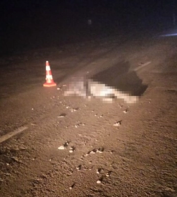 У Запорізькому районі на смерть збили жінку: водій втік з місця ДТП, – ФОТО