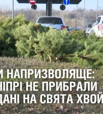 На Закарпатті біля кордону зі Словаччиною затримали групу нелегалів