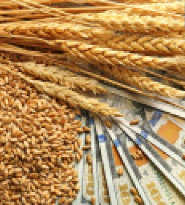 Розкрадання мільйонів на експорті зерна: правоохоронці провели 30 обшуків на митниці