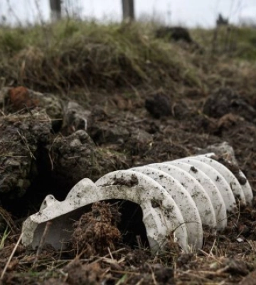 Зі слідами тортур і вогнепальними пораненнями: на Херсонщині виявили поховання з останками шістьох осіб