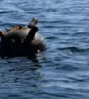 В Одесской области Силы обороны ликвидировали очередную морскую мину