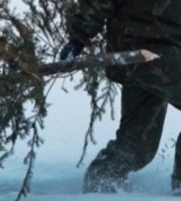 На Волині оштрафували 25 порушників, які незаконно рубали ялинки
