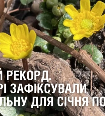ТЕПЛИЙ РЕКОРД. У Дніпрі зафіксували аномальну для січня погоду