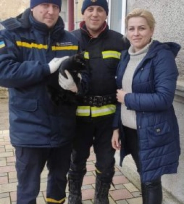 Закарпатські рятувальники не забобонні – допомагають навіть чорним котам
