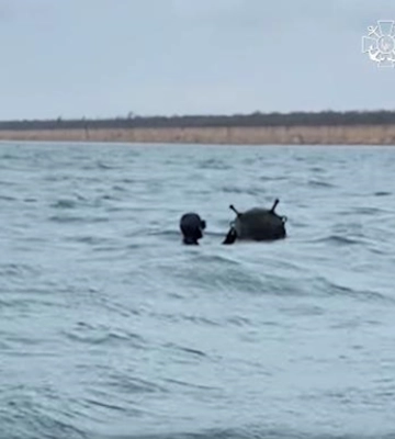 ВМС показали знищення морської міни на Одещині