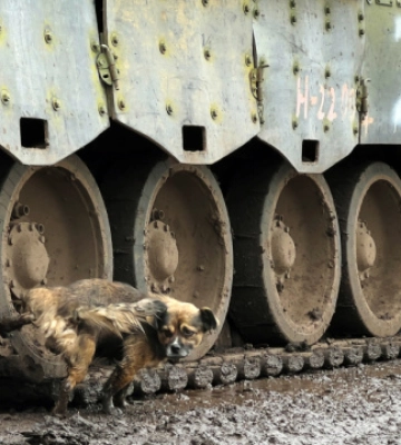 ЗСУ з боку харківського напрямку поступово звільняють територію Луганської області — Гайдай