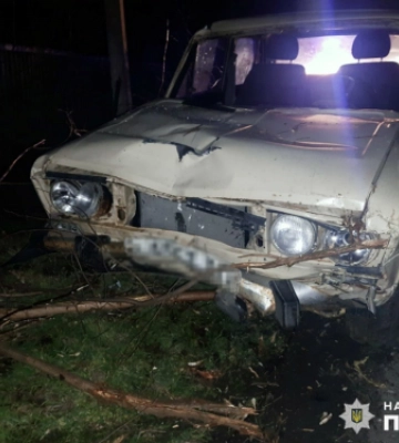 У Запорізькій області п&amp;#039;яний водій збив насмерть двох пішоходів