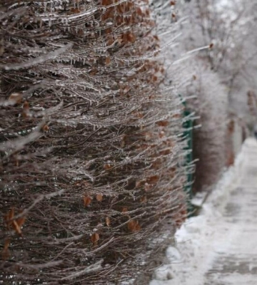 На 6 січня синоптики прогнозують ожеледицю та сильний вітер