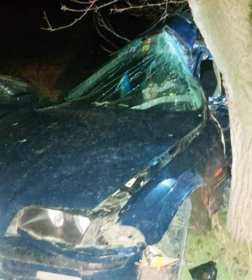 Злетів з дороги - на Миколаївщині розбився водій BMW