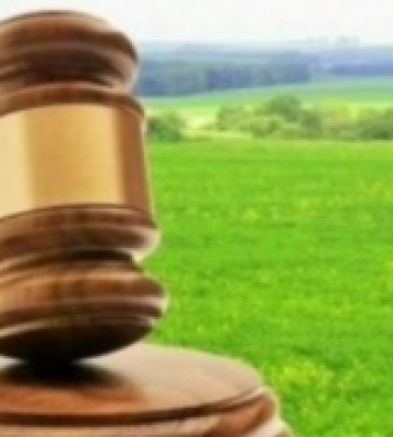 За втручання прокуратури на Волині державі повернули 6680 гектарів земель