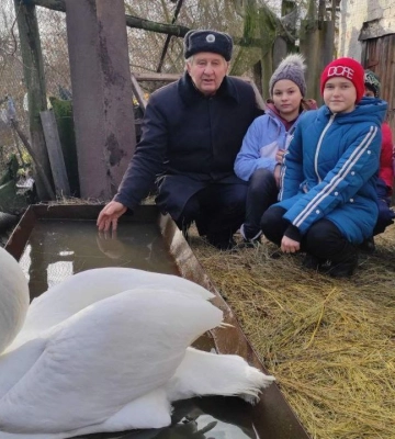 На Полтавщині вихованці шкільного лісництва доглядають лебедя