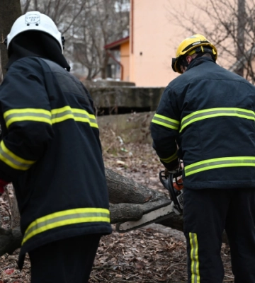Через пориви вітру у Чернівцях на автомобіль упало дерево