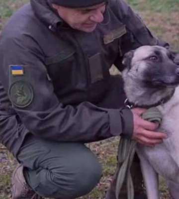 В Днепре  гвардейской  собаке Уне вручили медаль &quot; За преданную службу&quot;