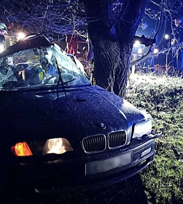 Врізався в дерево: на Миколаївщині трагічно загинув водій BMW (ФОТО)