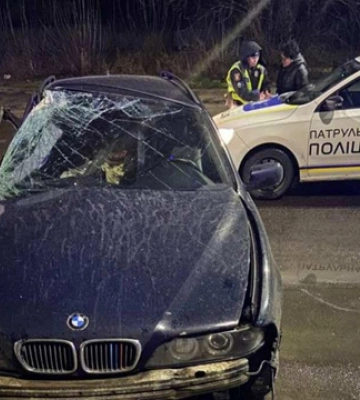 П&#039;яна лучанка в&#039;їхала в дерево: допомогти їй приїхав чоловік, теж п&#039;яний 