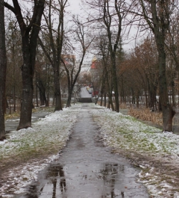 Підтоплені дерева та відчайдушні бігуни: ранок у луцькому парку 