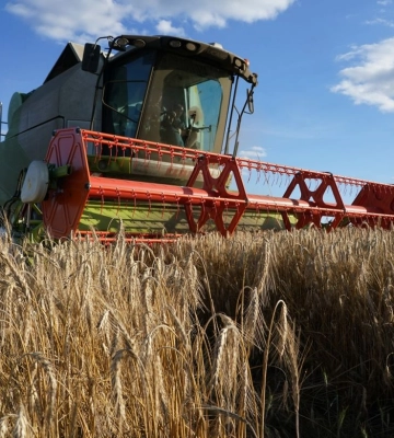 У Мінагрополітики спрогнозували скорочення врожаю у 2023 році