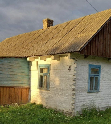 Ветлікарню на Ковельщині продали за майже 800 грн
