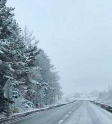 Синоптики розповіли, якою буде погода на Рівненщині 11 січня