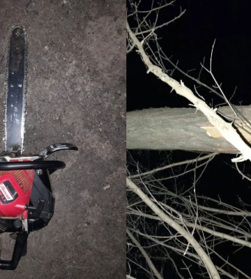 У Лубенській громаді чоловіка травмувало деревом: він помер у швидкій