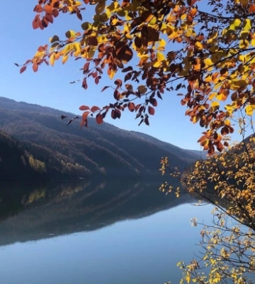 Водосховище на Теребле-Ріцькій ГЕС зареєстрували як ландшафтний заказник