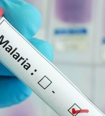 В Дніпрі виявлено захворювання на малярію