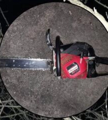 У селі на Полтавщині дерево вбило 59-річного чоловіка