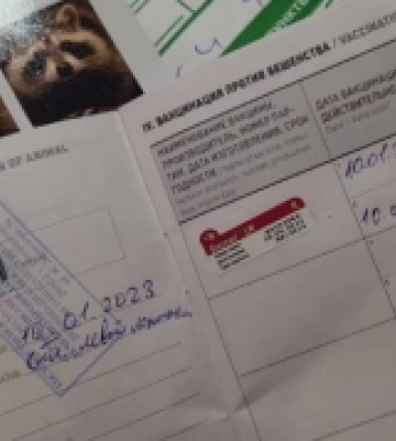 Росіяни «зробили» паспорт викраденому єноту