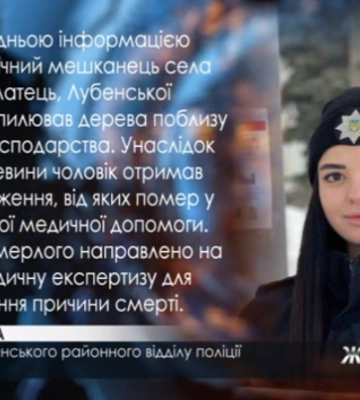 У Лубенській громаді чоловіка травмувало деревом: він помер у швидкій