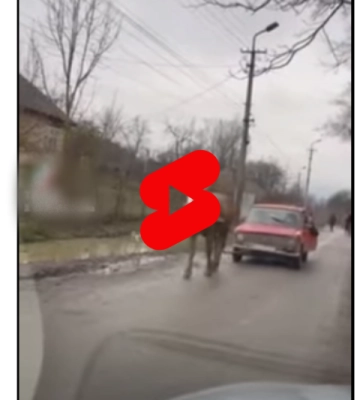 Підозрюють ромів: у Закарпатській громаді забили на сполох