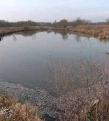 Водойма на Північному: хто власник?