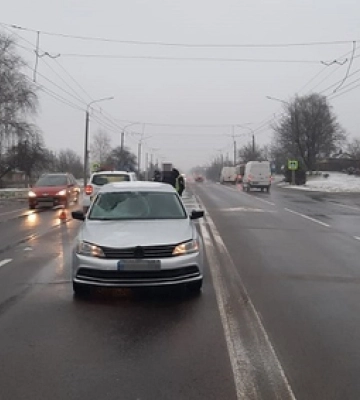 На Волині посеред дороги впало дерево (ФОТО)