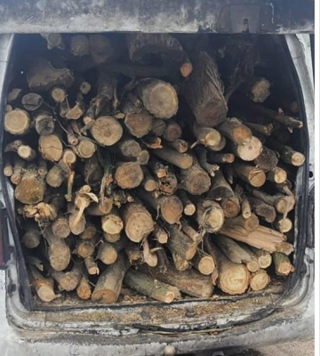 На дорогах Одеси виявили дві автівки з деревиною без документів, - ФОТО
