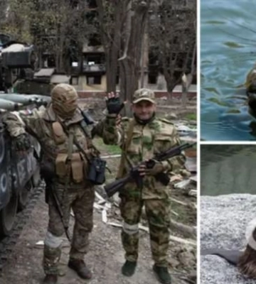 Несподівана допомога: на Волині популяція бобрів ускладнює можливий наступ з Білорусі