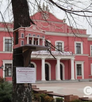 У Кропивницькому створили годівничку для птахів у вигляді мініатюри Театру Корифеїв 