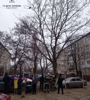 На Одещині працівники ДСНС разом з дітьми врятували кота, - ФОТО