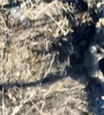 Группа &quot;Адам&quot; уничтожает российских оккупантов под Бахмутом и Соледаром – дрон-видео 18+