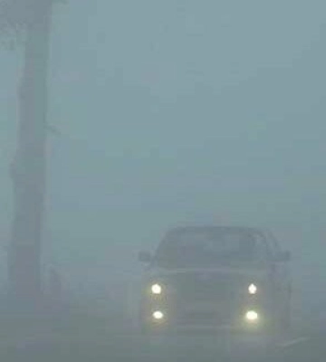 Жовтий рівень небезпечності: в Одеській області завтра очікується сильний туман