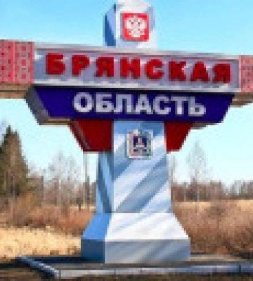 В рф заявляют, что украинский дрон якобы атаковал крупнейшую энергопистанцию на брянщине