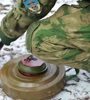 Під Києвом мінують лісосмуги: що відбувається в області